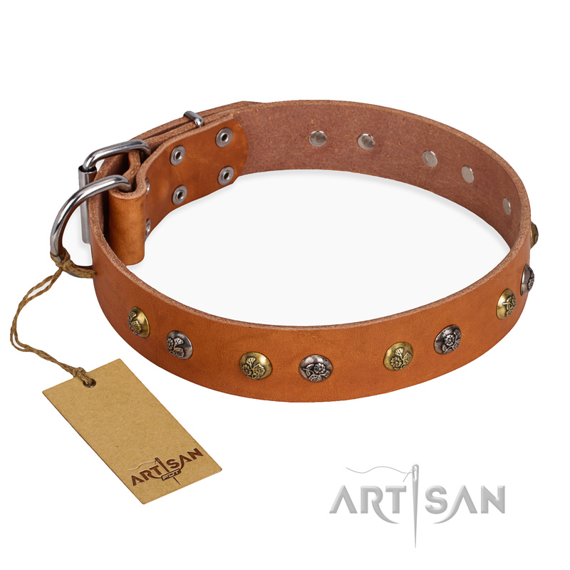 "Golden'n'Silver Luxury" FDT Artisan Leather Mastiff Collar with Engraved Studs