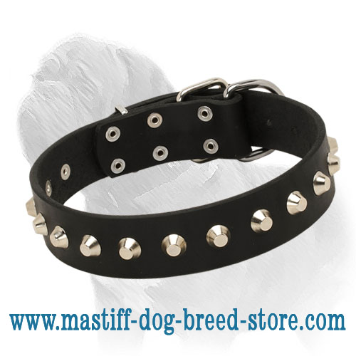 'Mighty King' Mastiff Dog Collar - Click Image to Close