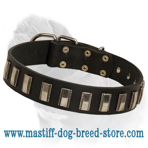 Ornament Dog Collar made of leather for Mastiff