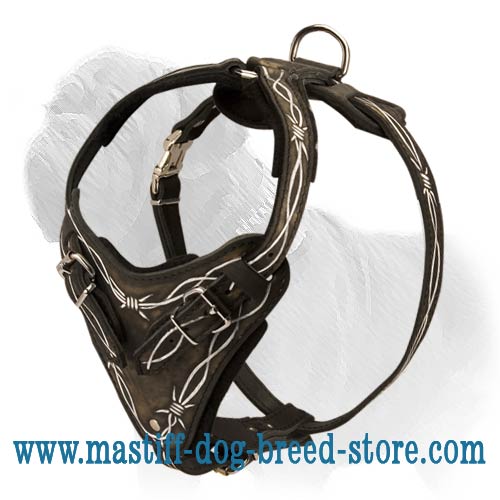 Painted with Barbed Wire Drawing Leather Agitation Harness for Mastiff Breed