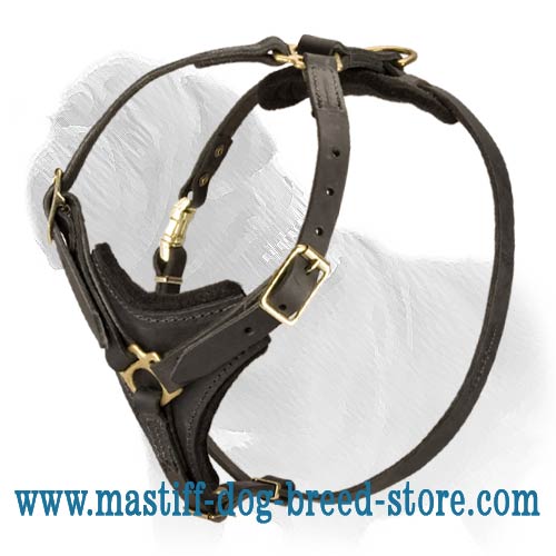 Exquisite Multifunctional Leather Mastiff Harness with Padded Chest Plate