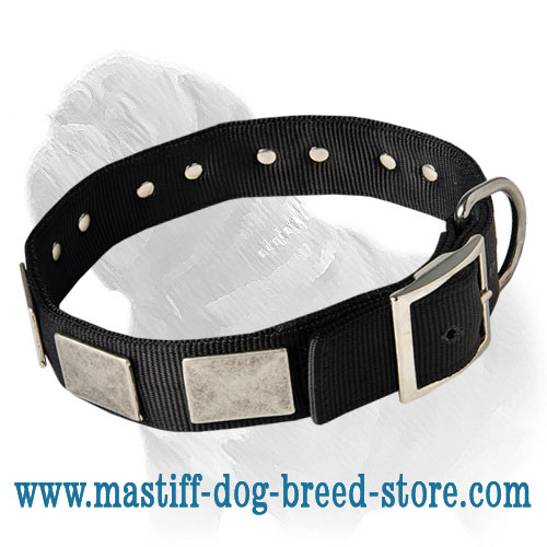 Training Nylon Mastiff Collar For All Weather Conditions