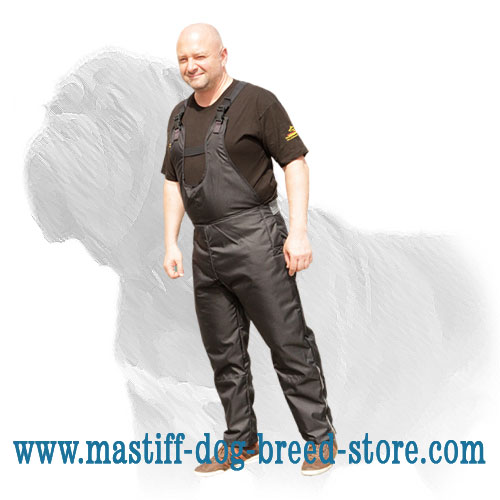 Increased Mobility Mastiff Dog Training Scratch Pants