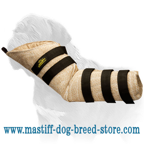 Snug Fit Mastiff Training Dog Hidden Sleeve
