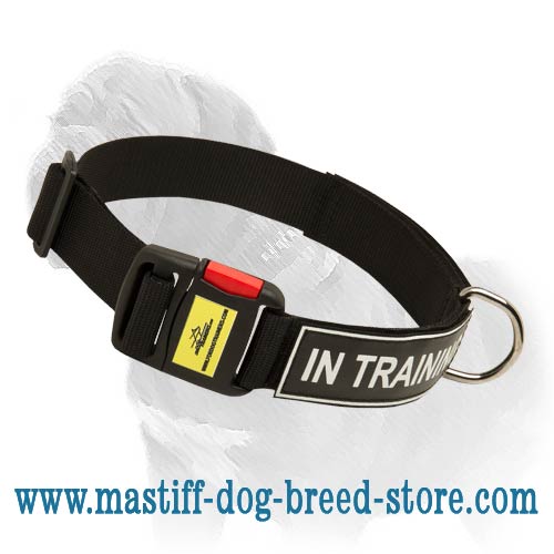 Mastiff Nylon Collar for Identification, Training and Walking