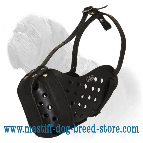 Reliable and Incredibly Comfortable Leather Attack Training Muzzle for Mastiff
