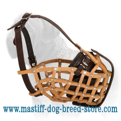 Easy to Breathe Mastiff Leather Basket Muzzle - Best for Agitation Training