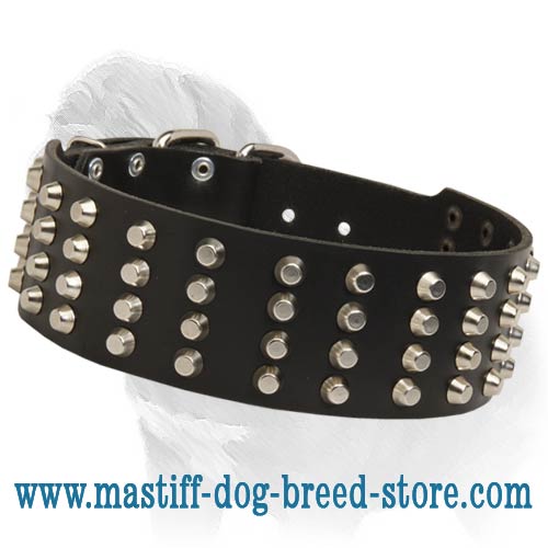 Extra WIde Leather Collar with 4 Rows of Nickel Pyramids for Mastiff Walking