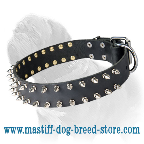 Mastiff Leather Spiked Dog Collar for Daily Walks