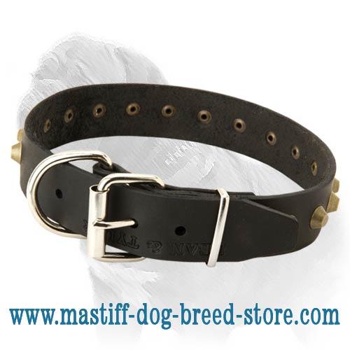 Adjustable Wide Leather Dog Collar for Mastiff Walking