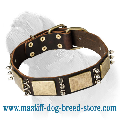 Fashion Leather Collar with Nickel Spikes and massive Brass Plates for Mastiff Walking
