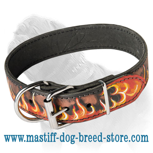 Handpainted Leather Dog Collar for Mastiff Walking and Training