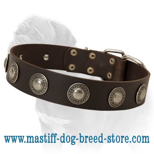 Mastiff Leather Dog Collar with Silver Conchos for Daily Walking and Basic Training - Click Image to Close