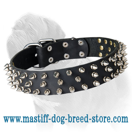 Custom mastiff hotsell collars