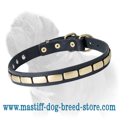 Mastiff Leather Collar with Brass Plates for Fashionable Walking