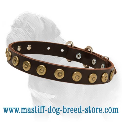 Gorgeous Wide Leather Dog Collar With Dotted Circles for Mastiff Walking