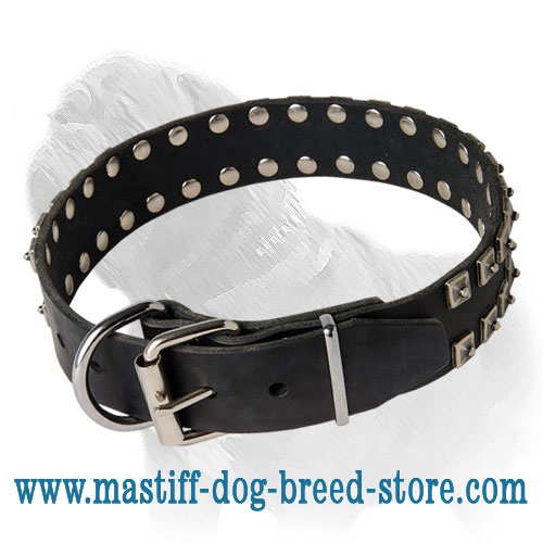 Mastiff Leather Collar with Dotted Studs for Daily Walking