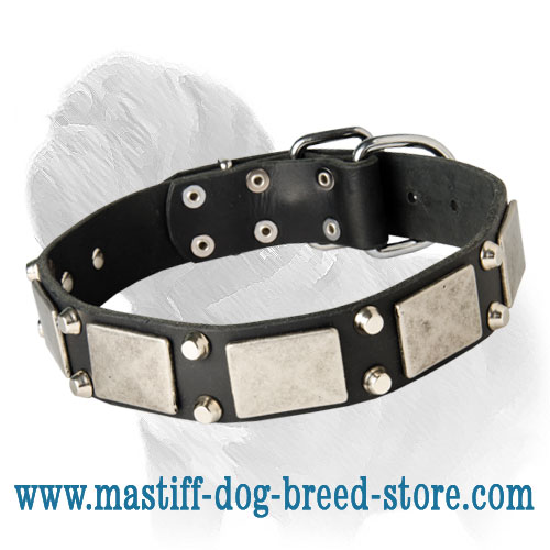 Leather Dog Collar with Nickel Plate and Pyramids for Mastiff Walking