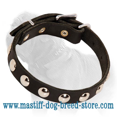 Decorative Leather Dog Collar with Nickel Studs for Walking Mastiffs, Puppies and Small Breed Dogs