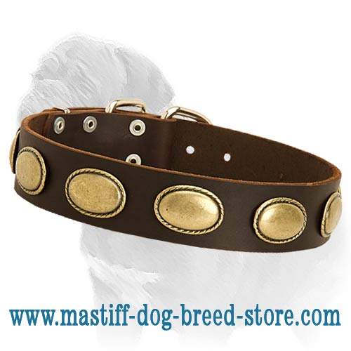 Walking Leather Dog Collar with Vintage Oval Plates of Gold Color