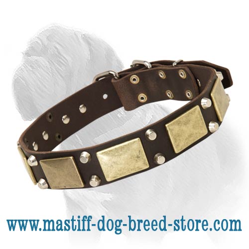 Fashion Leather Dog Collar with Nickel Pyramids and Massive Brass Plates
