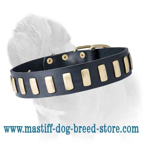 Leather Dog Collar with Brass Plates for Fashionable Mastiff Walking