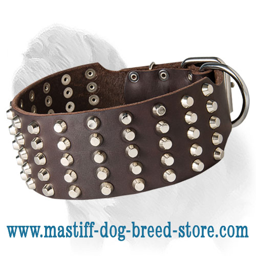 Strong Wide Mastiff Dog Collar with Nickel-Plated Studs
