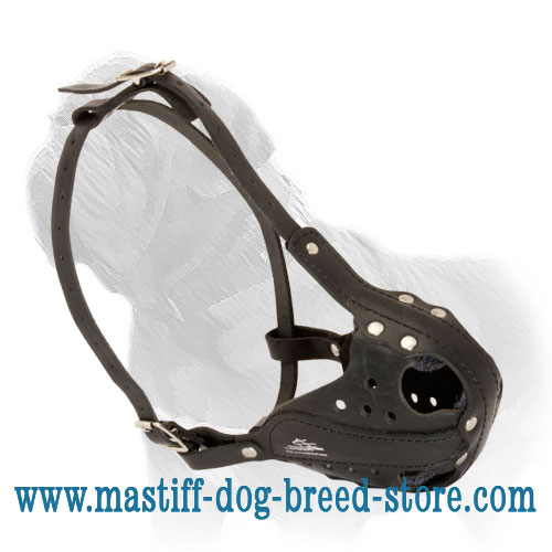 Universal Leather Dog Muzzle for Mastiff Training/Walking/Attack Work