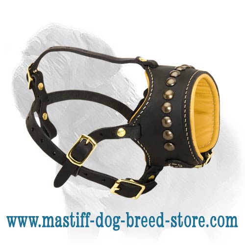 Breathe and Drink Water Leather Mastiff Muzzle