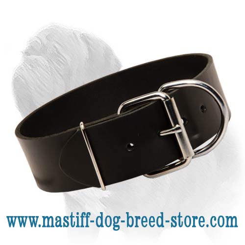 Every Day Mastiff Leather Collar of Extra Width