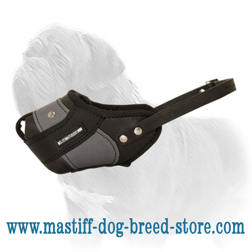 Leather and Nylon Mastiff Muzzle for Agitation Work