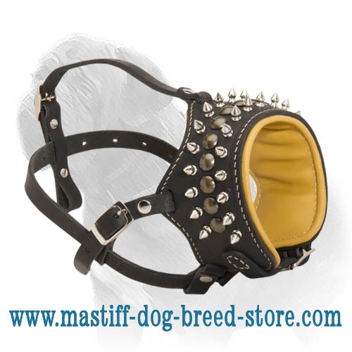 Mastiff Universal Solution - Leather Nappa Leather Padded Muzzle with Spikes & Studs
