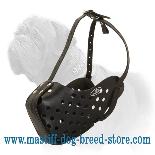 Professional Agitation Muzzle for Training and Walking your Mastiff
