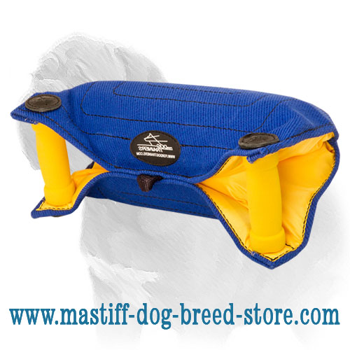 Elementary Mastiff Dog Bite Builder of French Linen