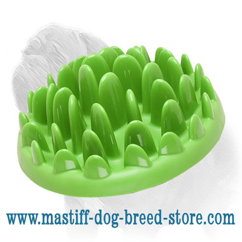 Small Interactive Dog Feeder For Mastiff Puppies Ka16 1024