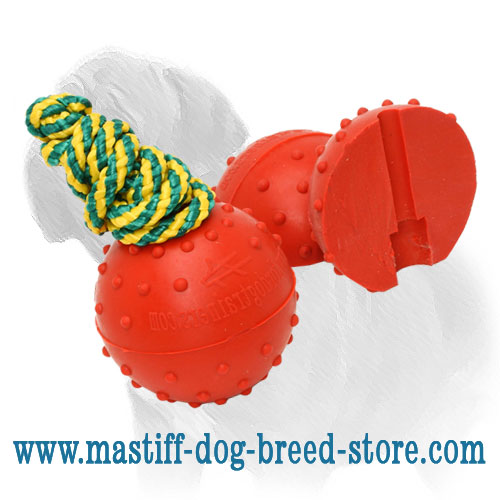 Dog Solid Rubber Ball