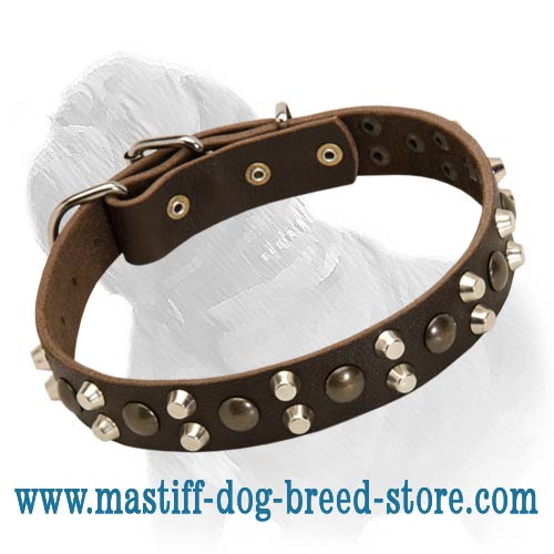 Fabulous Leather Collar with Pyramids and Studs - The Pink of Dog Fashion