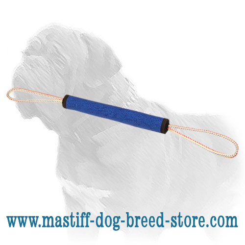Mastiff Dog Play Roll with Inserted Handles