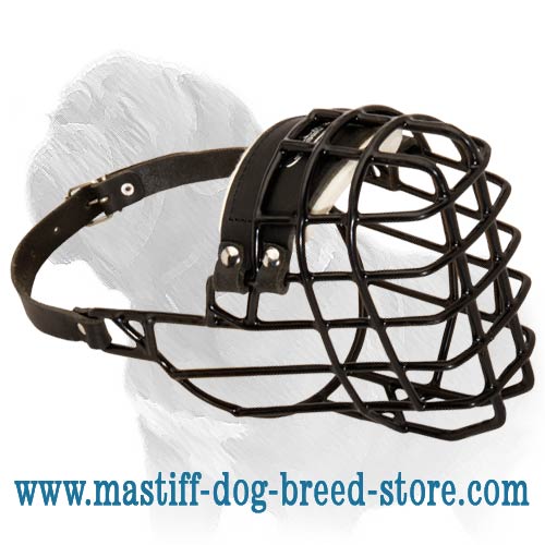 Adorable Wire Cage Mastiff Dog Muzzle with Black Rubber Coated Wires - Best for Winter Season