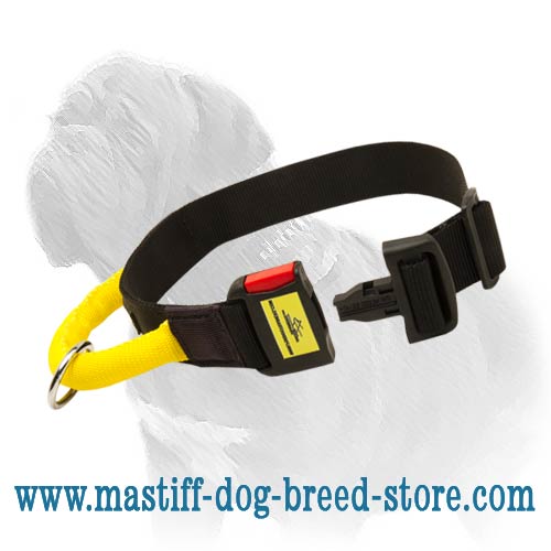 Nylon Mastiff Collar with Additional Handle and Easy Quick Release Buckle - Click Image to Close