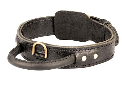 Quick Control Dog Collar with Handle for Mastiff