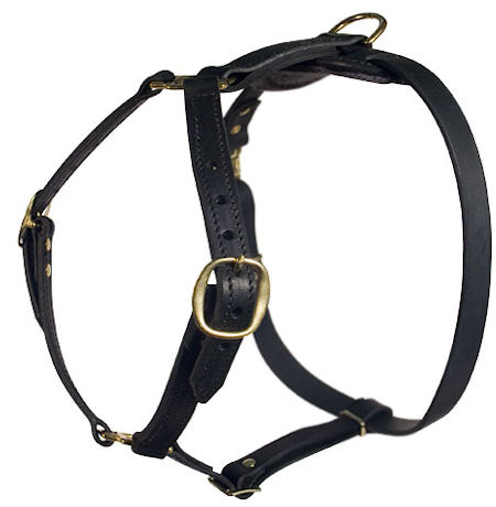Similar Lupine adjustable dog harness for Mastiff