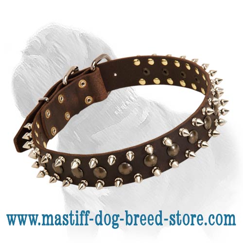 Gorgeous Leather Collar Decorated with Studs and Spikes for Training and Daily Walks of Your Mastiff