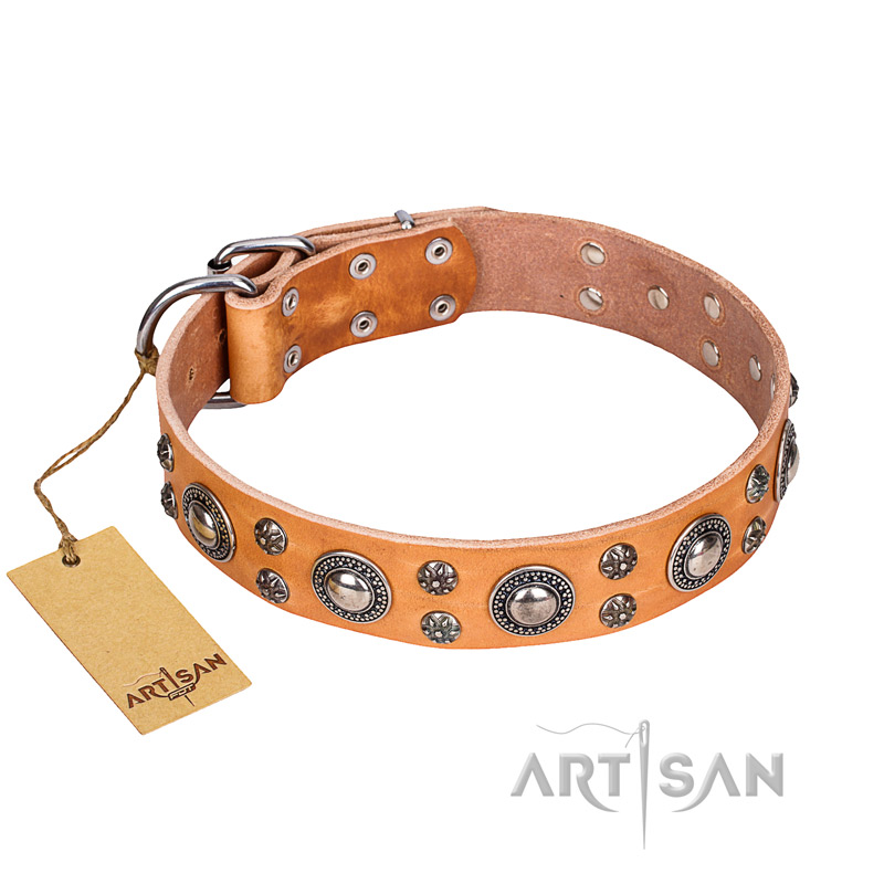 'Extra Sparkle' FDT Artisan Handcrafted Mastiff Tan Leather Dog Collar
