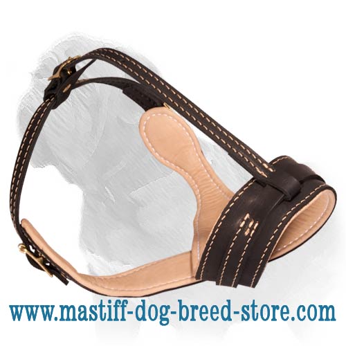 Topnotch Leather Dog Muzzle for Super Active Mastiff Breeds