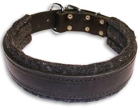 Wide Stitched Leather Dog Collar-D Ring in Front Mastiff - Click Image to Close