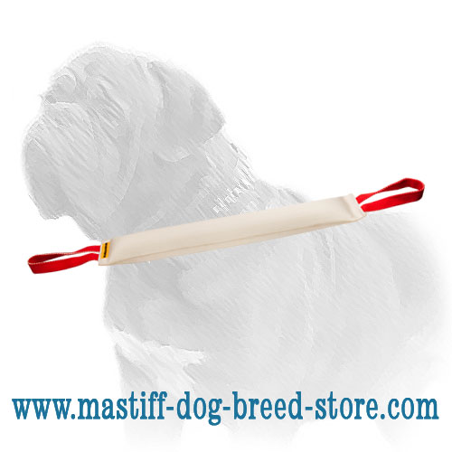 Fire Hose Mastiff Training Bite Tug of Big Size