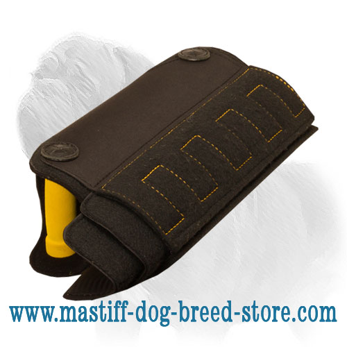 Puppy & Young Mastiff Training X-Builder