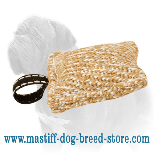 Small Mastiff Dog Biting Tug of Jute Material - Click Image to Close