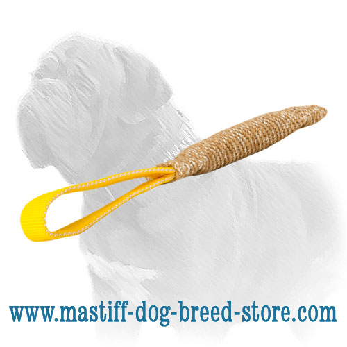 Colorful Mastiff Dog Bite Training Tug of Jute